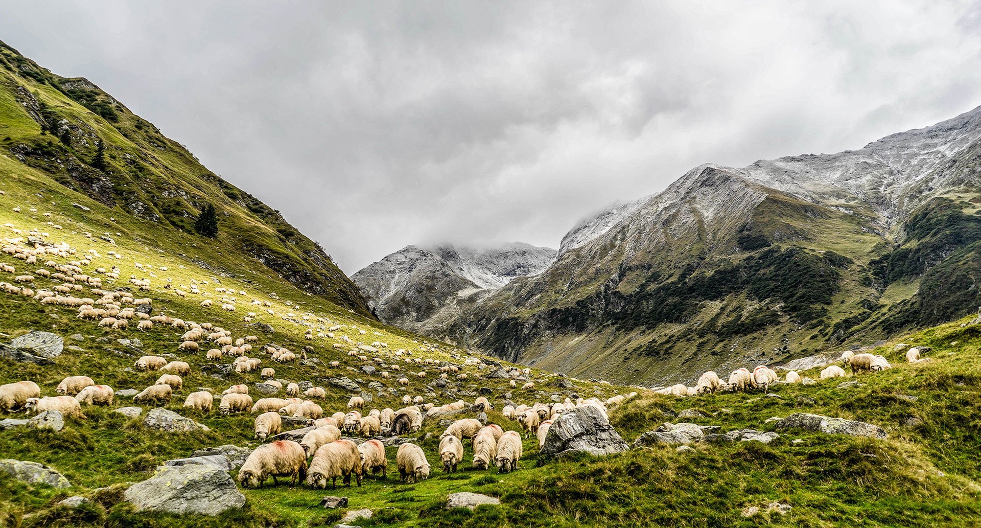 Wool - Endurance Threads