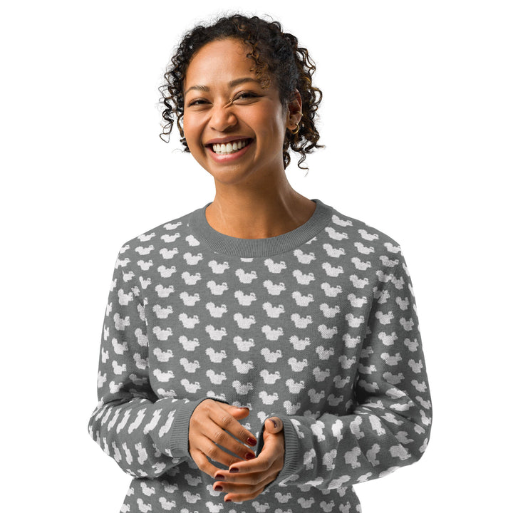 RHR Secret Squirrel Grey Knit Sweater - Endurance Threads