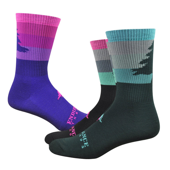 NE Stripey 6" Sock - Colors! - Endurance Threads