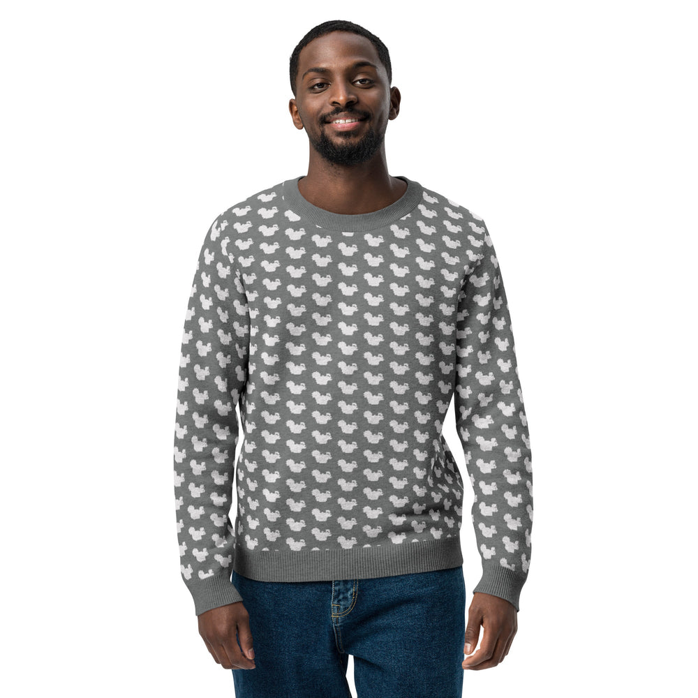 RHR Secret Squirrel Grey Knit Sweater - Endurance Threads